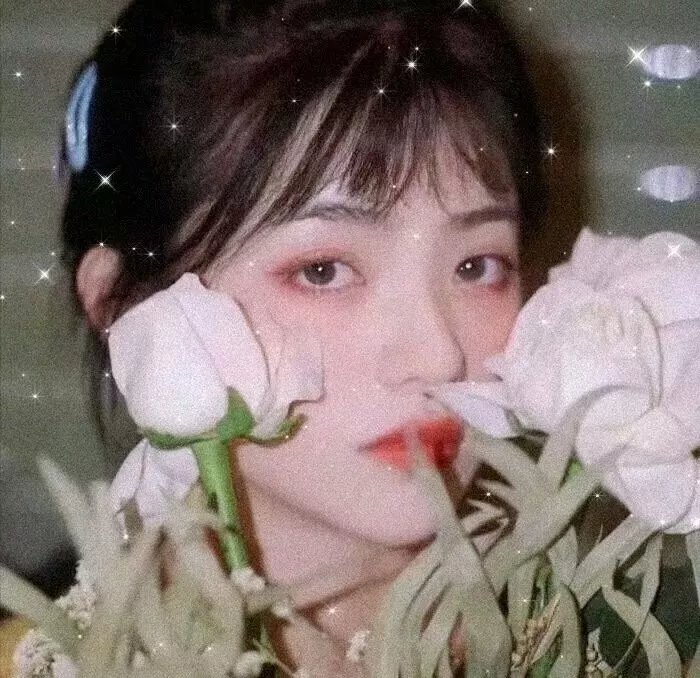 我亲爱的怪物伙伴