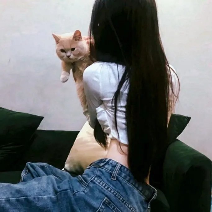 强殖装甲凯普